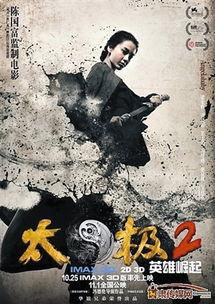 太极2：英雄崛起,英雄崛起——传承与创新，东方武术的巅峰对决