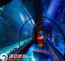 最酷的世界,最酷世界的奇幻之旅