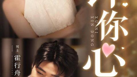 许你心动,探寻爱情与成长的温馨旅程