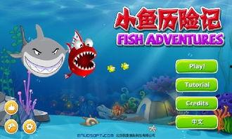 小鱼历险记,探寻未知海洋的奇幻之旅