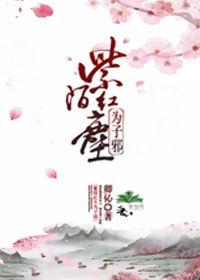 紫陌红尘,探寻古代繁华背后的沧桑岁月