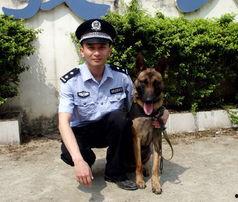 沉默的战友,揭秘战争背后的真实故事